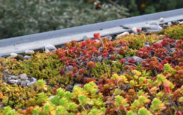 the cost of Eaton Socon green roof installation