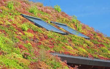 Eaton Socon living roof systems