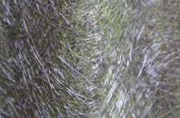 Eaton Socon fibreglass roof work